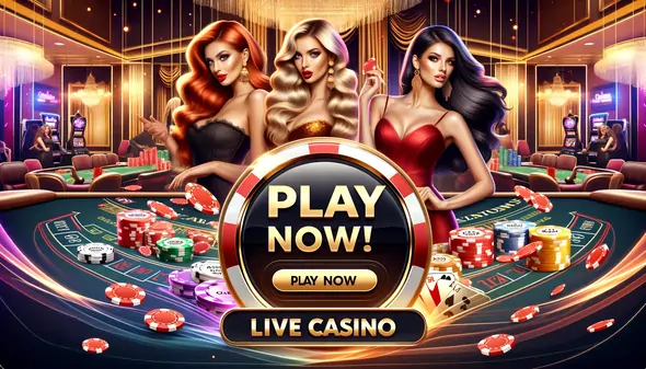 live casino3